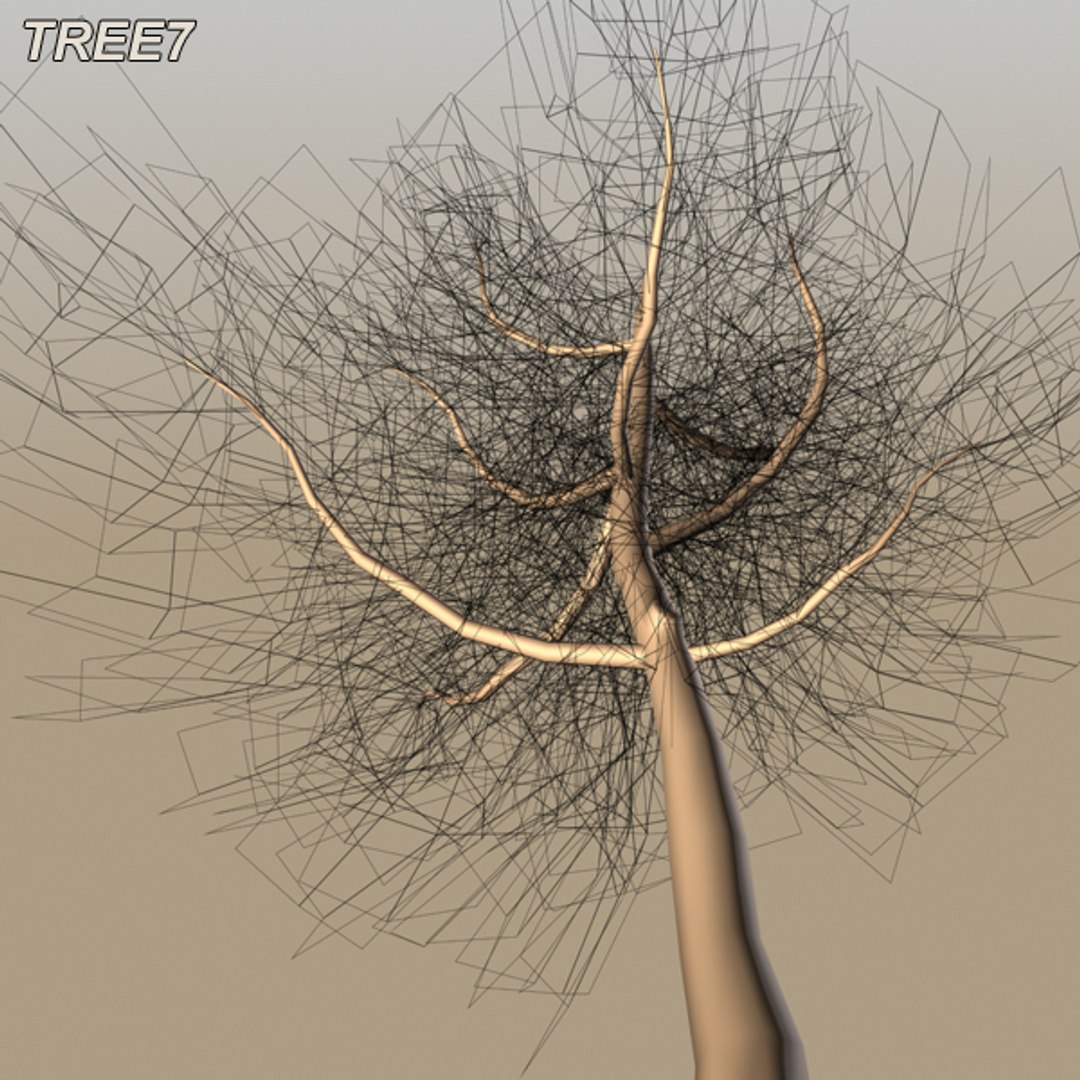 tree afghanistan c4d https://p.turbosquid.com/ts-thumb/jt/2dngwl/VR9hIrRu/tree8_12/jpg/1330385941/1920x1080/fit_q87/002642934a71757aac0c2a303c397289bd8dc602/tree8_12.jpg