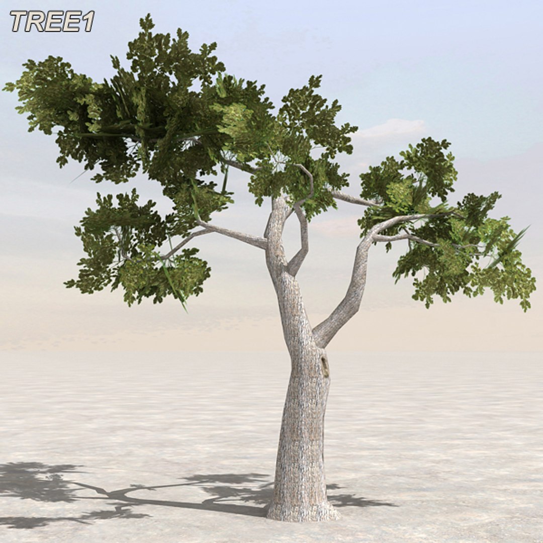 tree afghanistan c4d https://p.turbosquid.com/ts-thumb/jt/2dngwl/XvIuGxwU/atree01/jpg/1330385938/1920x1080/fit_q87/c20a9386f5de58e1e28f6c4abd502d5a454a92eb/atree01.jpg