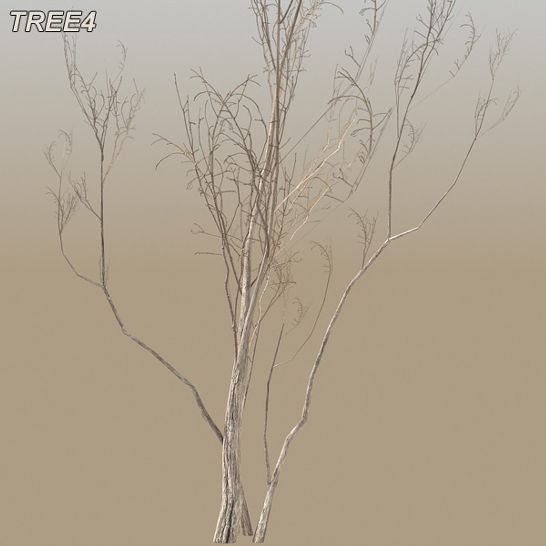 tree afghanistan c4d https://p.turbosquid.com/ts-thumb/jt/2dngwl/YcWmCLNH/tree4_17/jpg/1330385939/1920x1080/fit_q87/006686f12926ec26e457550778e65ef3ac2aedd9/tree4_17.jpg