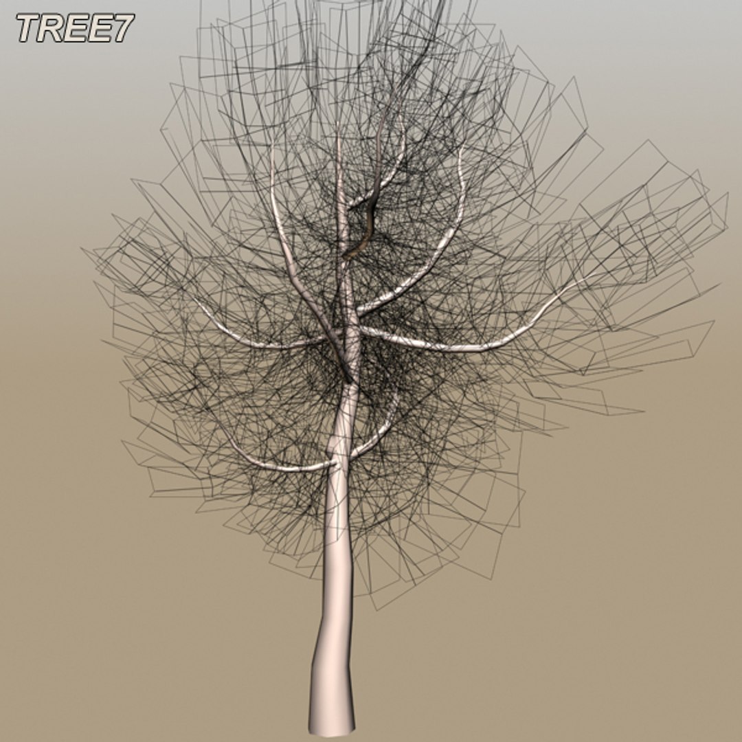 tree afghanistan c4d https://p.turbosquid.com/ts-thumb/jt/2dngwl/pXbRrbNi/tree8_11/jpg/1330385941/1920x1080/fit_q87/b7f3bada451289f8ff3a8355dfa2021ddb04ad4f/tree8_11.jpg
