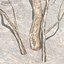 Afghanistan Tree Pack