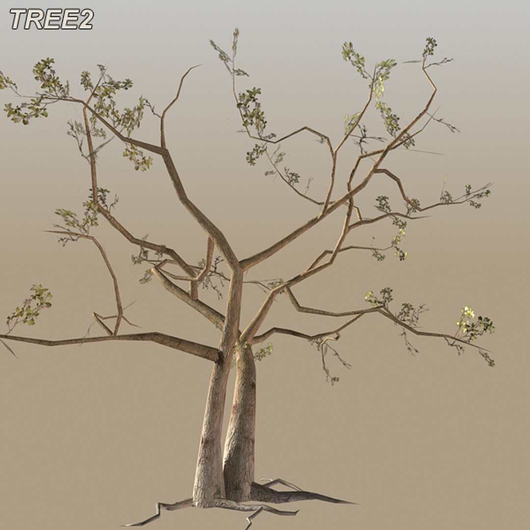 tree afghanistan c4d https://p.turbosquid.com/ts-thumb/jt/2dngwl/tgYTtzvW/btree21/jpg/1330385938/1920x1080/fit_q87/b8100d252445fa001c79b2144e594af04e253050/btree21.jpg