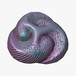 tribrachidium 3D model