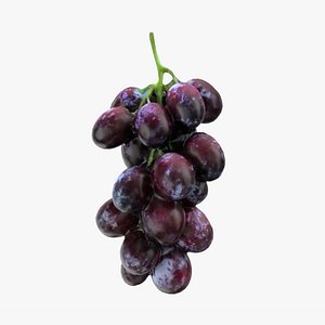 Grapes 2 model