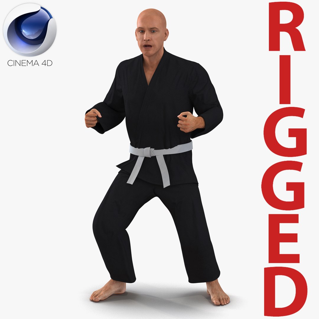 Karate Fighter Black Suit Rigged for Cinema 4D 3D Model 3D model preview