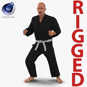 Karate Fighter Black Suit Rigged for Cinema 4D 3D Model