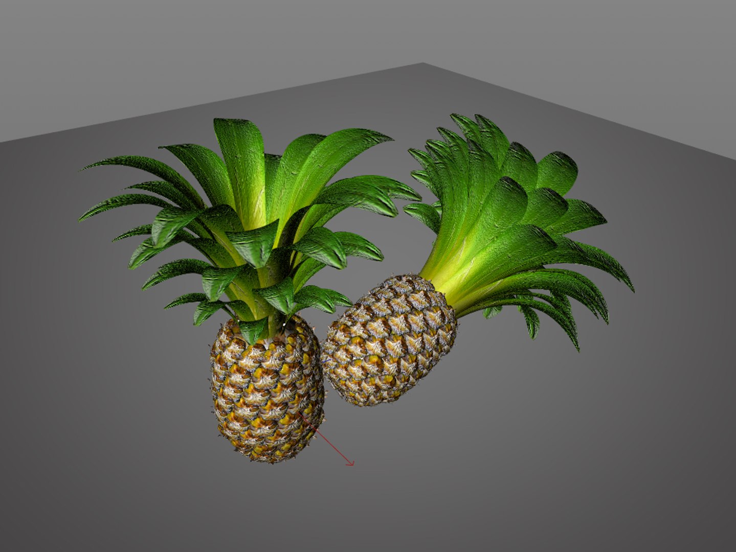 3D apple pine https://p.turbosquid.com/ts-thumb/jt/V4rCf4/MvfbiXCg/7/jpg/1586870399/1920x1080/fit_q87/dcce65672df67b1fd9f3787481c0c1ed57764d2e/7.jpg