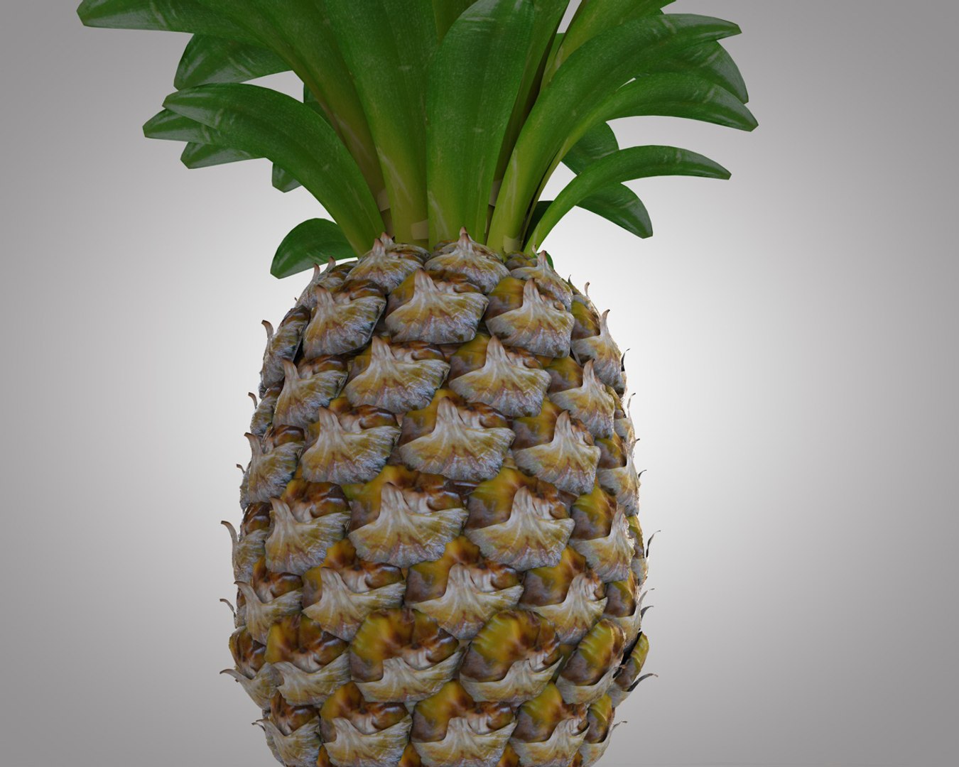 3D apple pine https://p.turbosquid.com/ts-thumb/jt/V4rCf4/QLnZmc8m/3/jpg/1586870399/1920x1080/fit_q87/b791d2ff768af7f93af5d6d85168c40f5850d1f9/3.jpg