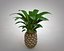 Piña
