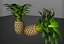 Piña