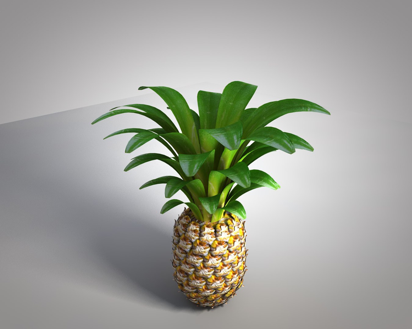 3D apple pine https://p.turbosquid.com/ts-thumb/jt/V4rCf4/aGcbWyQk/5/jpg/1586870399/1920x1080/fit_q87/609802186badb997592a8992a8e043a4876f4037/5.jpg