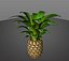 Piña