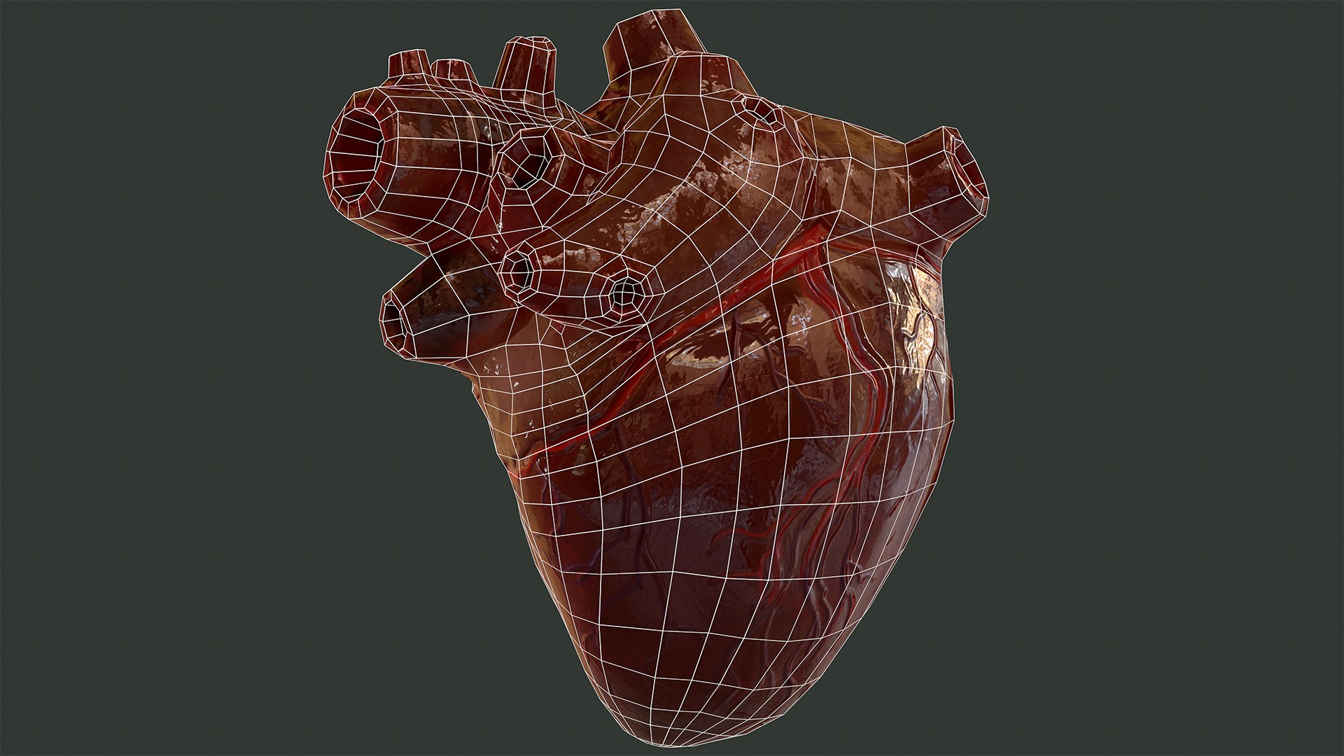 3d Model Human Heart Turbosquid 1373859