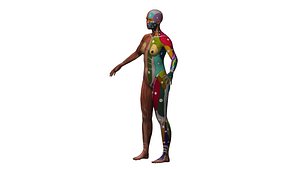 muscle rigged 3D model