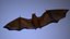 Bat animation pbr Low-poly 3D