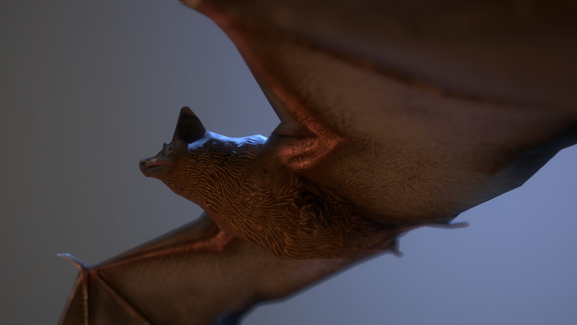 Bat animation pbr Low-poly 3D https://p.turbosquid.com/ts-thumb/jt/lnQVrJ/gI/screenshot016/jpg/1619139016/1920x1080/fit_q87/17e2e5846c7f31859f6f84e3467390c26f678e92/screenshot016.jpg