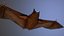 Bat animation pbr Low-poly 3D