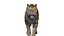 Tiger Rigged EEVEE 모델- 블렌더