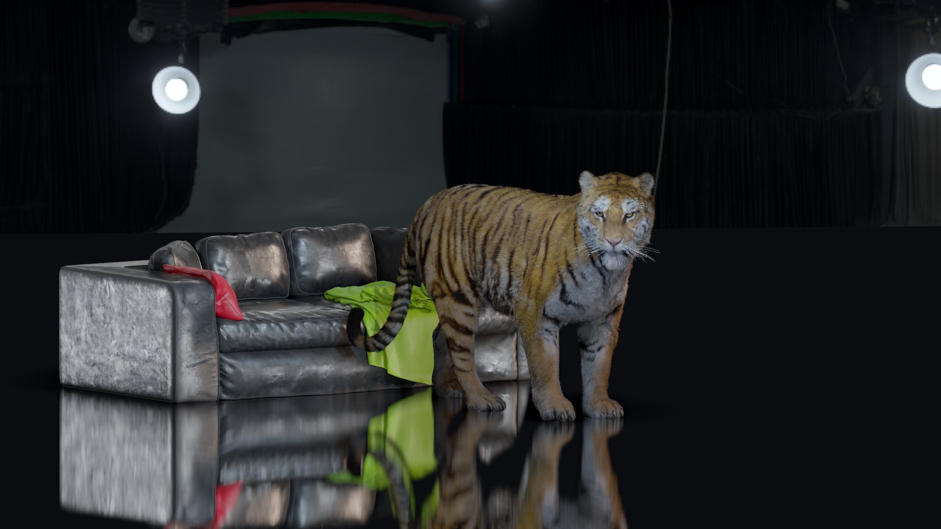Realistic Tiger Rigged and Animated model- Blender 3D https://p.turbosquid.com/ts-thumb/jt/qZAWKV/iJ/w2/png/1658319626/1920x1080/fit_q87/b7204cff5fca724920b68f89e3d2cfc963e430ce/w2.jpg