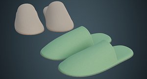Slipper 2A