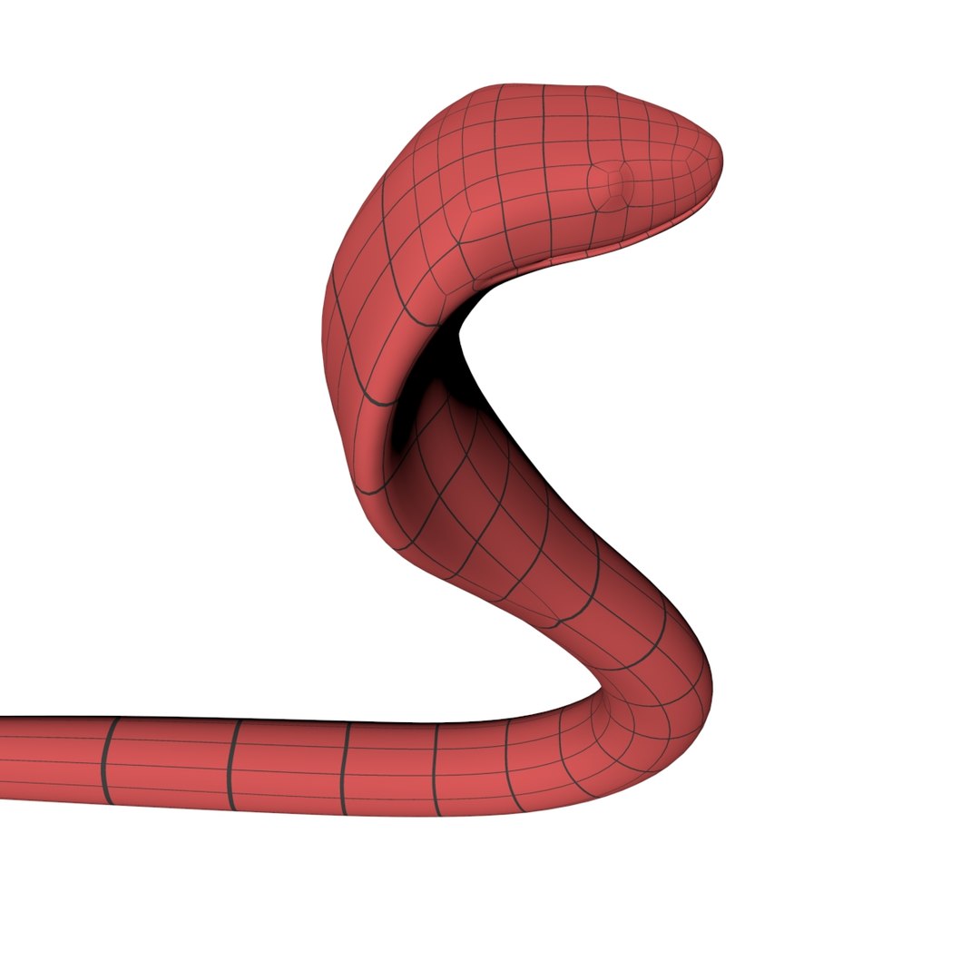 3d Model Base Mesh Cobra Snake