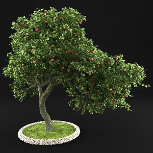 3D apple tree model