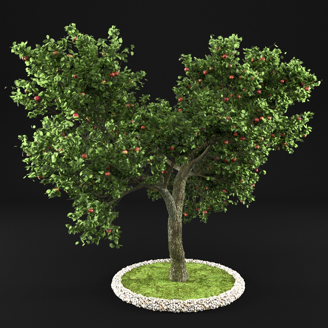 3D Apple Tree Model - TurboSquid 1159243