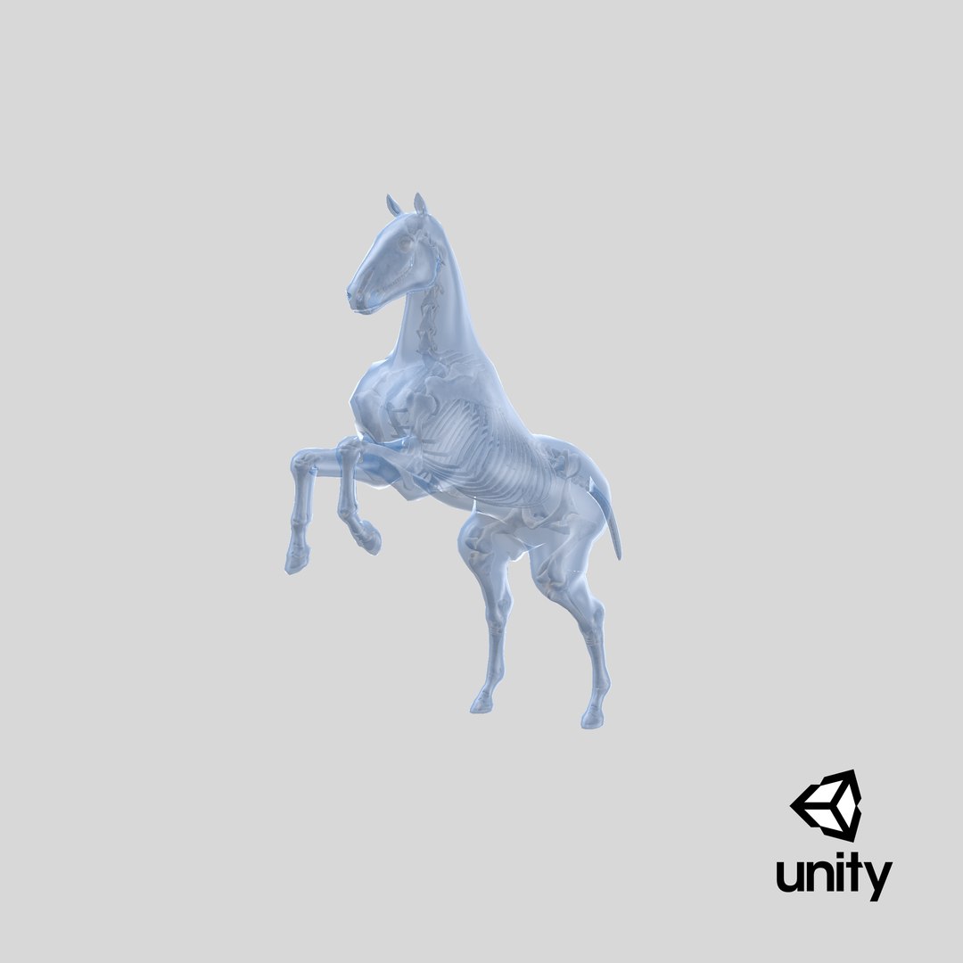 3D rearing horse envelope skeleton model https://p.turbosquid.com/ts-thumb/ju/52GKSy/3C/stemcell_unity_render/png/1651055431/1920x1080/fit_q87/64f967d894f6e04d4e5b4da1d23e0fb3f55ef8f0/stemcell_unity_render.jpg
