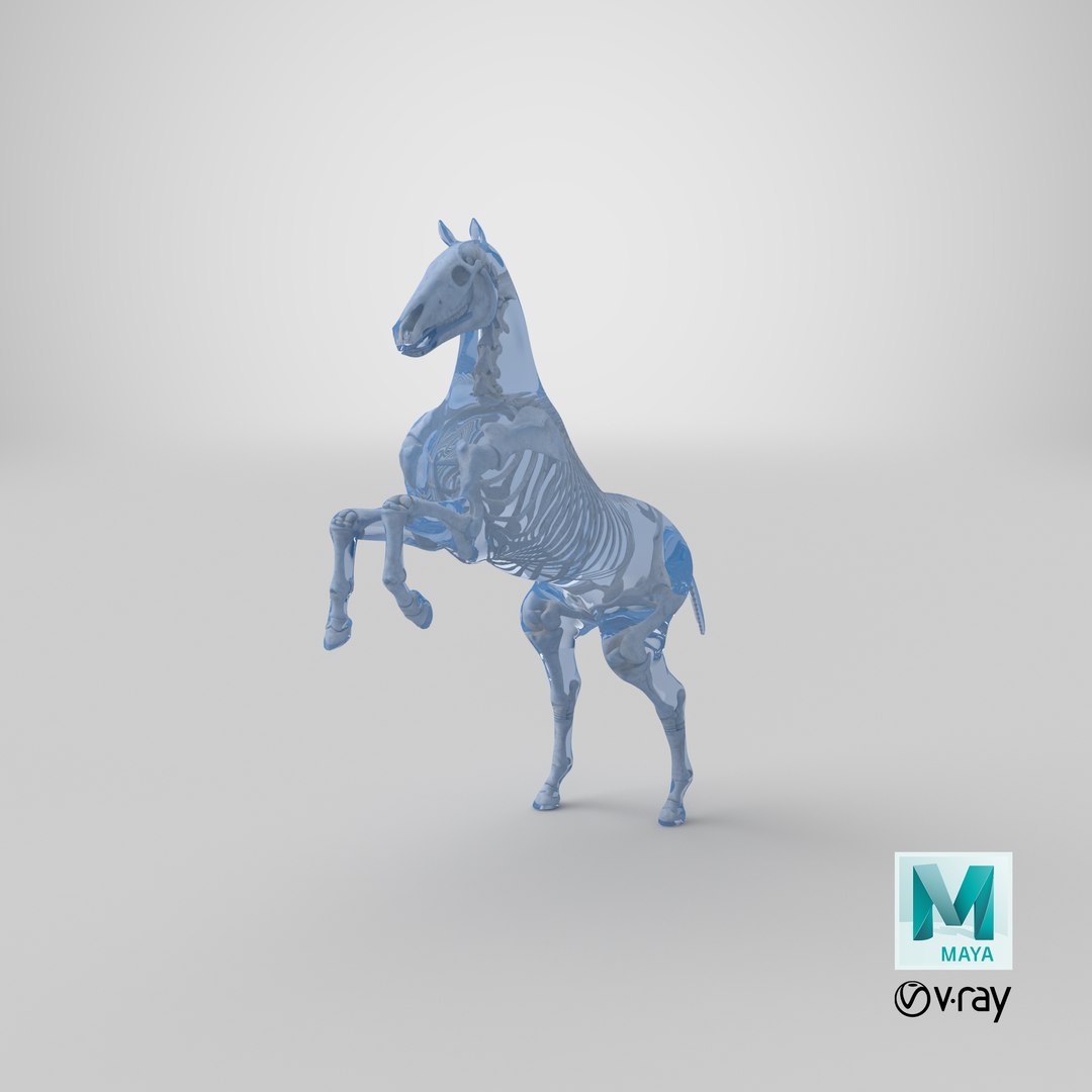 3D rearing horse envelope skeleton model https://p.turbosquid.com/ts-thumb/ju/52GKSy/Ek/stemcell_maya_vray_render/png/1651055444/1920x1080/fit_q87/95e6ddb393b48561bff630fe2f64ad2da79da574/stemcell_maya_vray_render.jpg