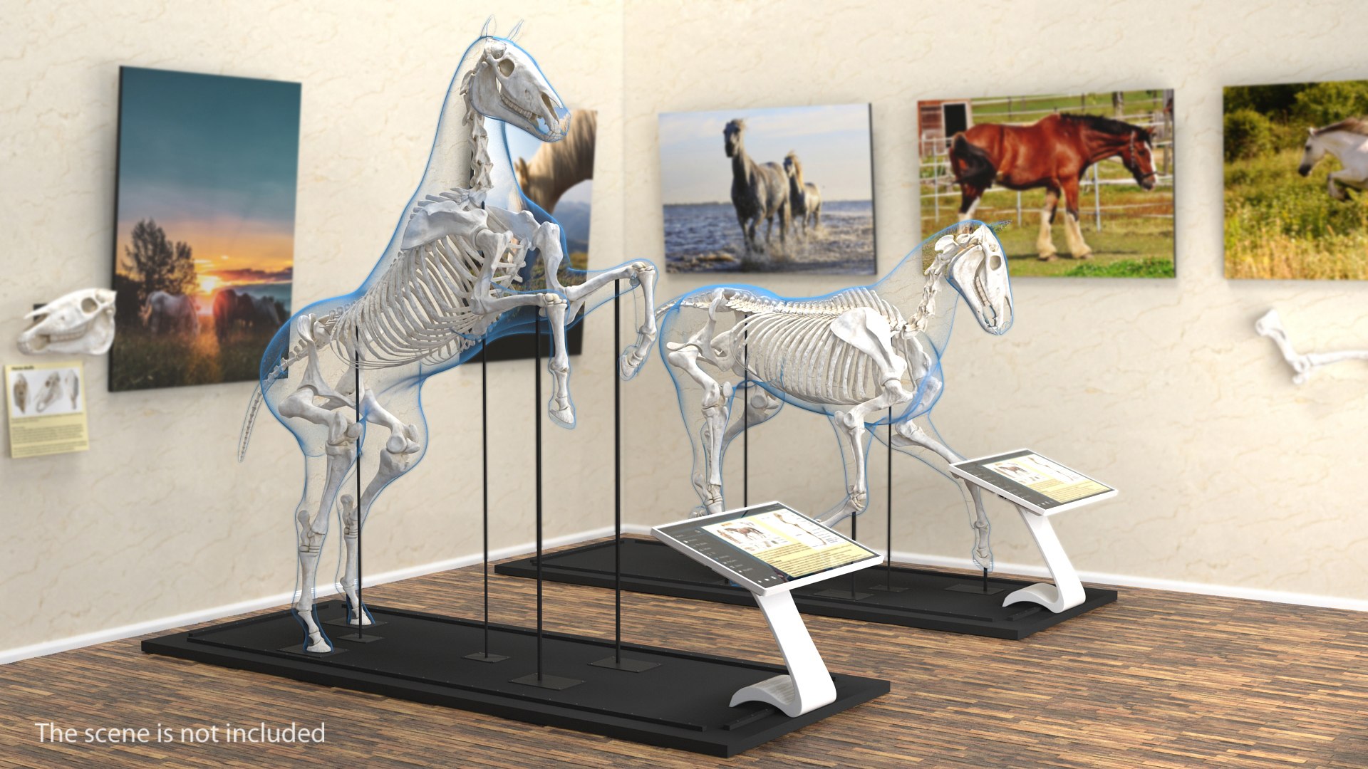 3D rearing horse envelope skeleton model https://p.turbosquid.com/ts-thumb/ju/52GKSy/dDig5kz1/rearinghorseenvelopewithskeletonmb3dmodel002/jpg/1540689523/1920x1080/fit_q87/2668bd5bea910bcf18f31e4dfb13f45f036270e4/rearinghorseenvelopewithskeletonmb3dmodel002.jpg