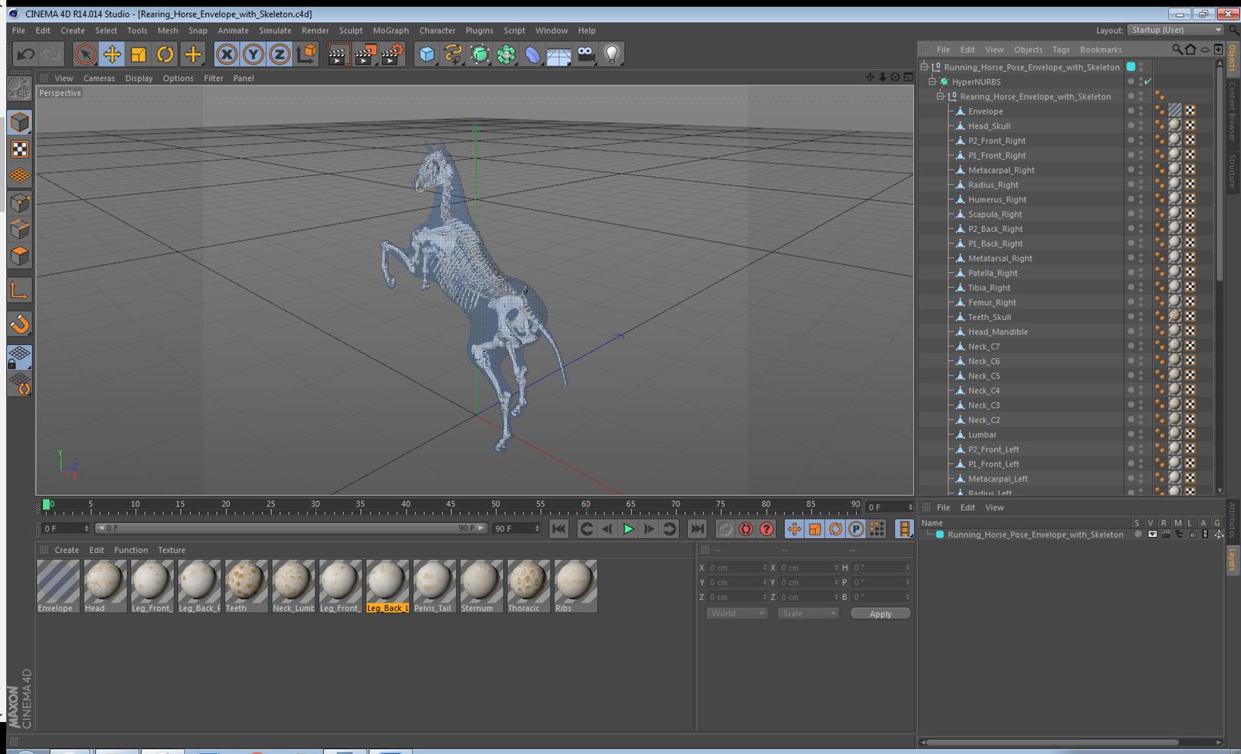 3D rearing horse envelope skeleton model https://p.turbosquid.com/ts-thumb/ju/52GKSy/jXYg06XY/rearinghorseenvelopewithskeletonmb3dmodel015/jpg/1540689566/1920x1080/fit_q87/2c191fded23302cb1bc77e350182fc87e98c6052/rearinghorseenvelopewithskeletonmb3dmodel015.jpg