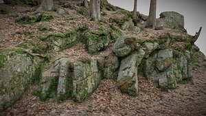 Rocks in the forest 3D model