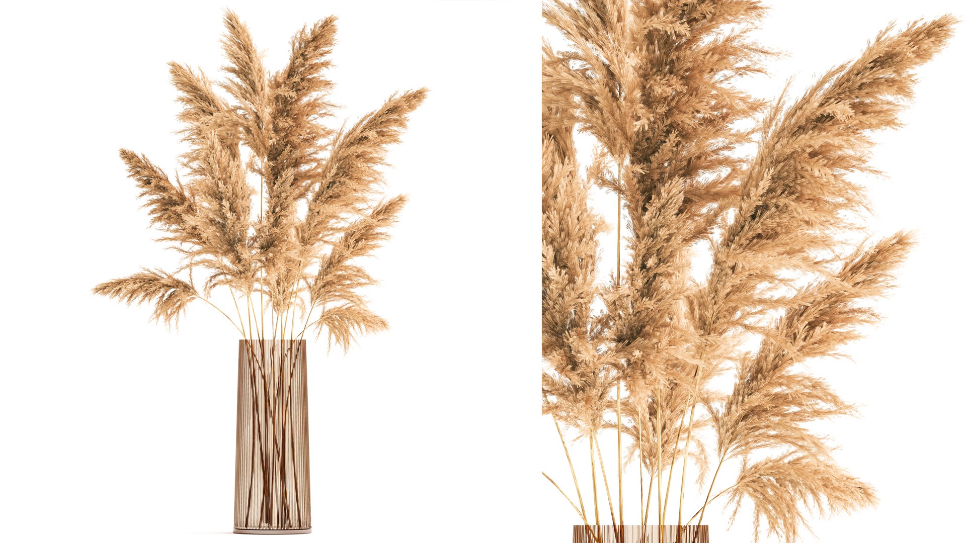 3D Bouquet Of Dried Reeds In A Vase 121 Model - TurboSquid 1765797