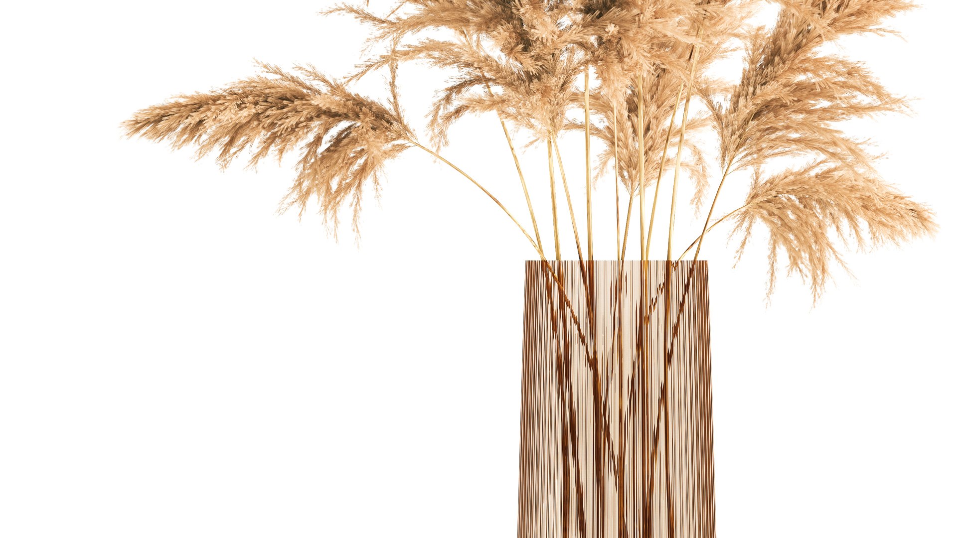 3D Bouquet Of Dried Reeds In A Vase 121 Model - TurboSquid 1765797