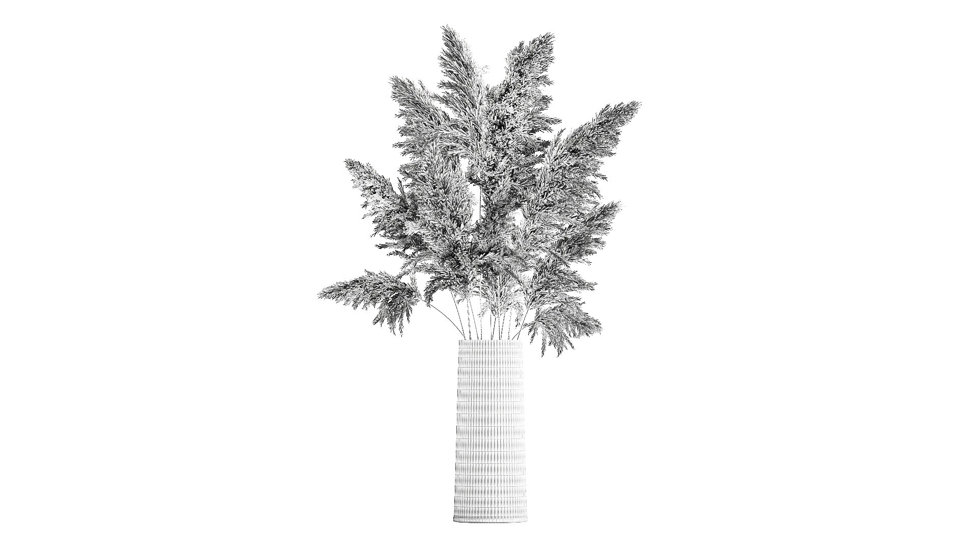 3D Bouquet Of Dried Reeds In A Vase 121 Model - TurboSquid 1765797