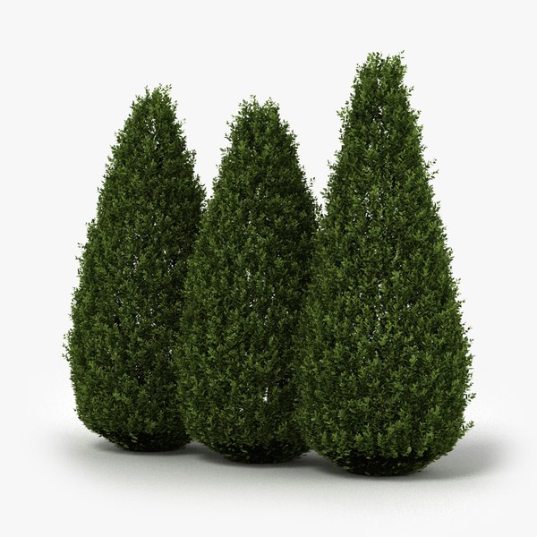 Shrubs hedge realistic 3D model - TurboSquid 1199312