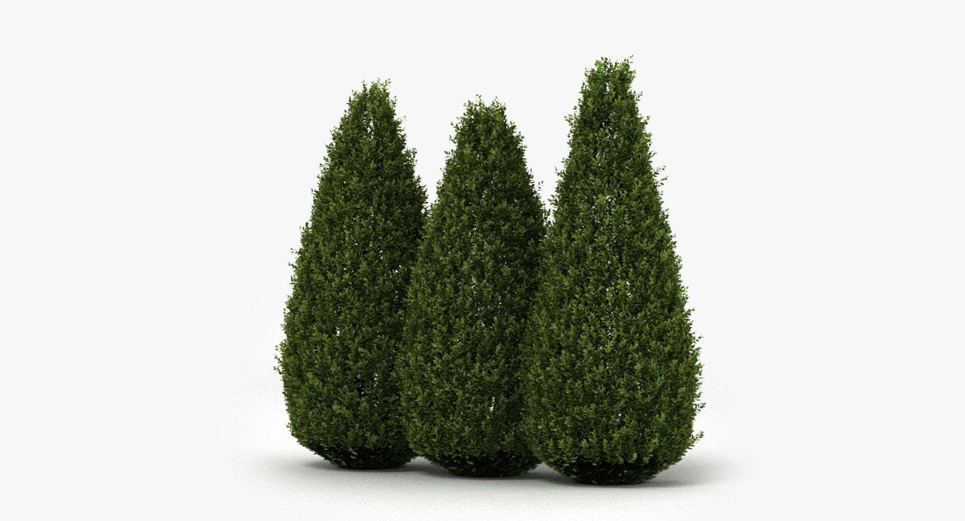 Shrubs Hedge Realistic 3D Model - TurboSquid 1199312