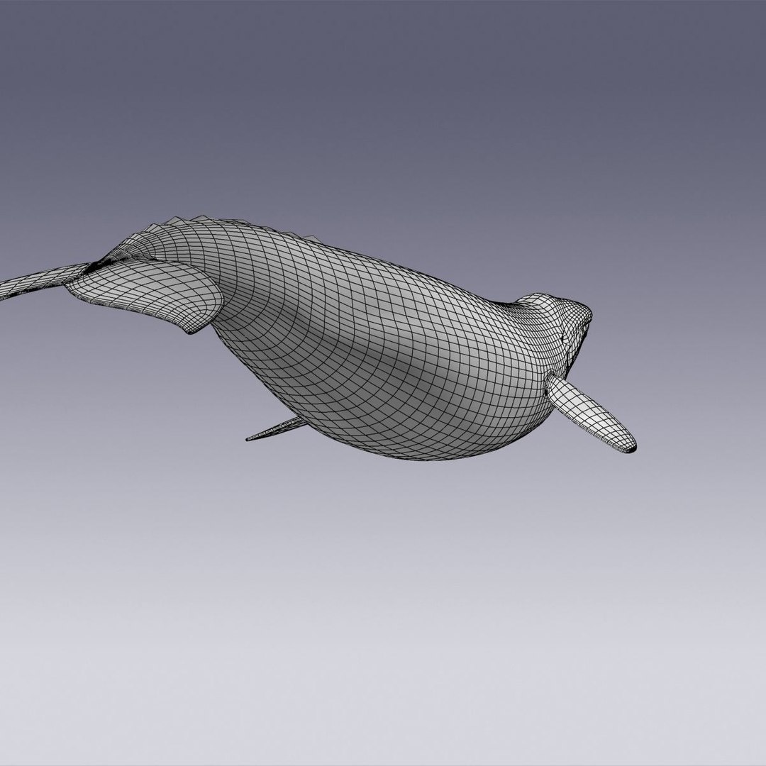 3d Model Gray Animation