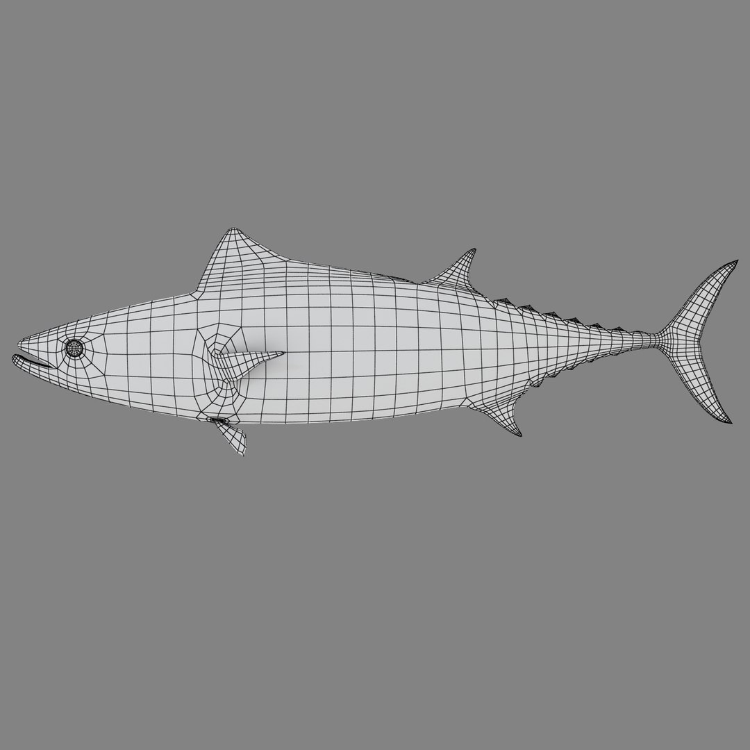 3D sea-life sea model https://p.turbosquid.com/ts-thumb/ju/YDhhcC/Ma7N96Az/bonitor1w/jpg/1512158217/1920x1080/fit_q87/e9d1214b9fc3776c1fcce63609493e4462b1dc35/bonitor1w.jpg