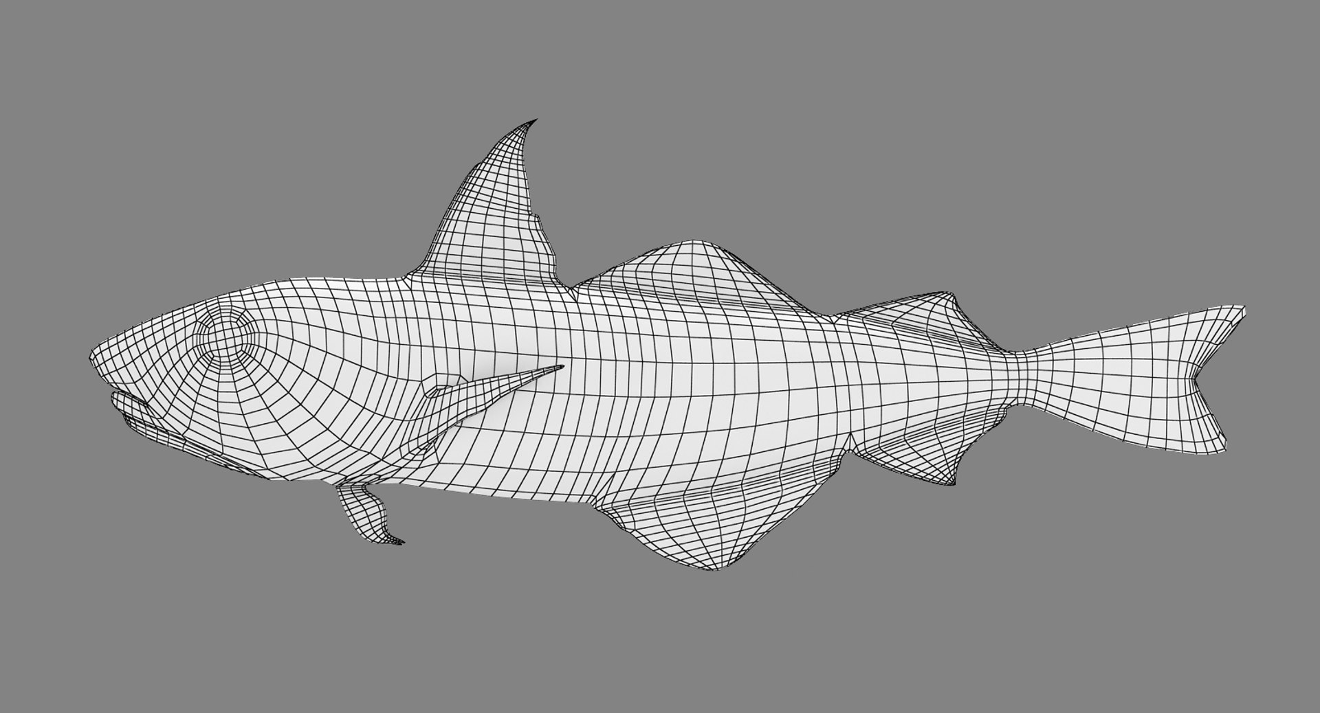 3D sea-life sea model https://p.turbosquid.com/ts-thumb/ju/YDhhcC/kNdjbRYJ/haddock_r1w/jpg/1512158391/1920x1080/fit_q87/4bf634dc1584bf2306512dab4dad1b9b85d0e88b/haddock_r1w.jpg