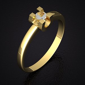 ring shoe 0005(1)