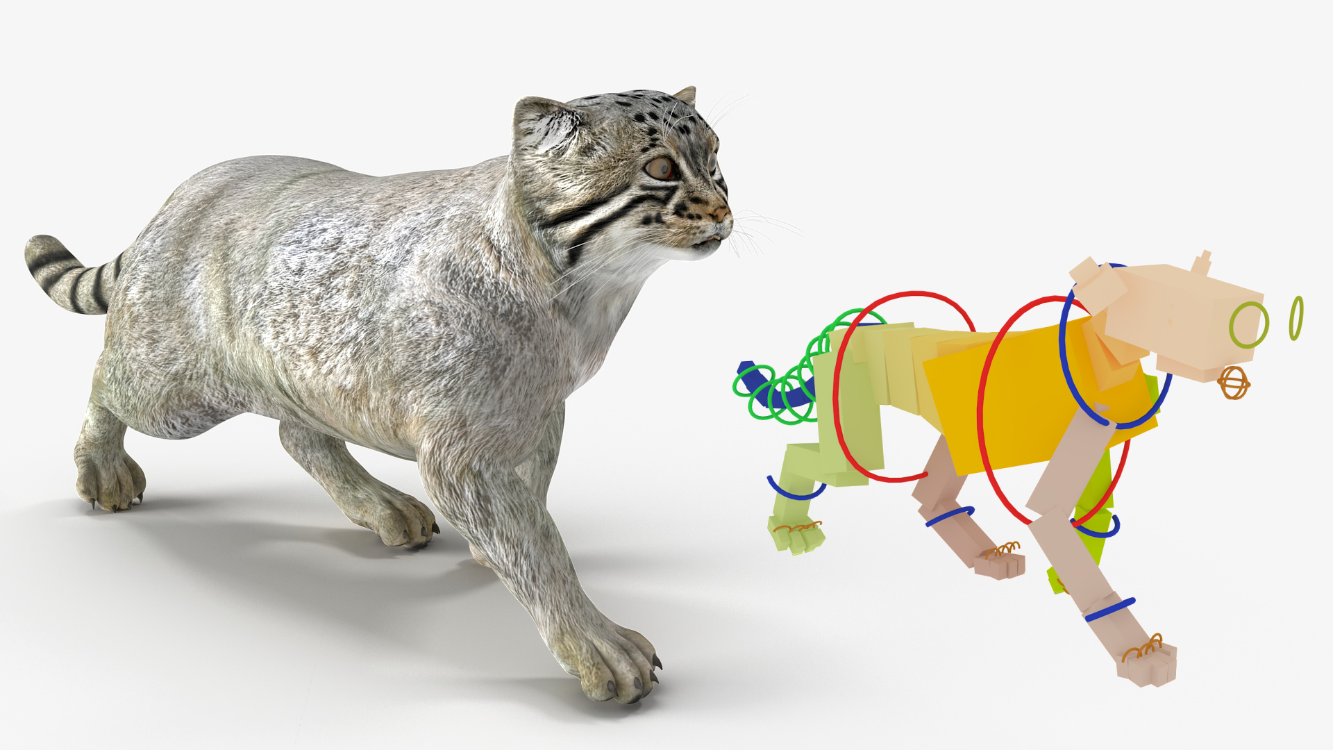 3D Cat Rigged Animated - TurboSquid 2264132