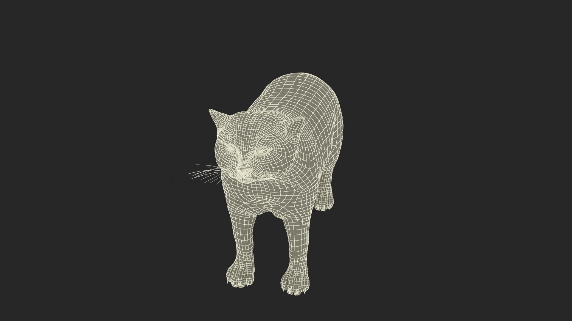 3D Cat Rigged Animated - TurboSquid 2264132