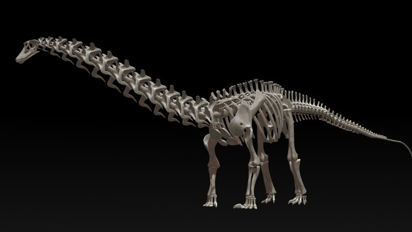 Plesiosaurus Skeleton 3d Model 3263