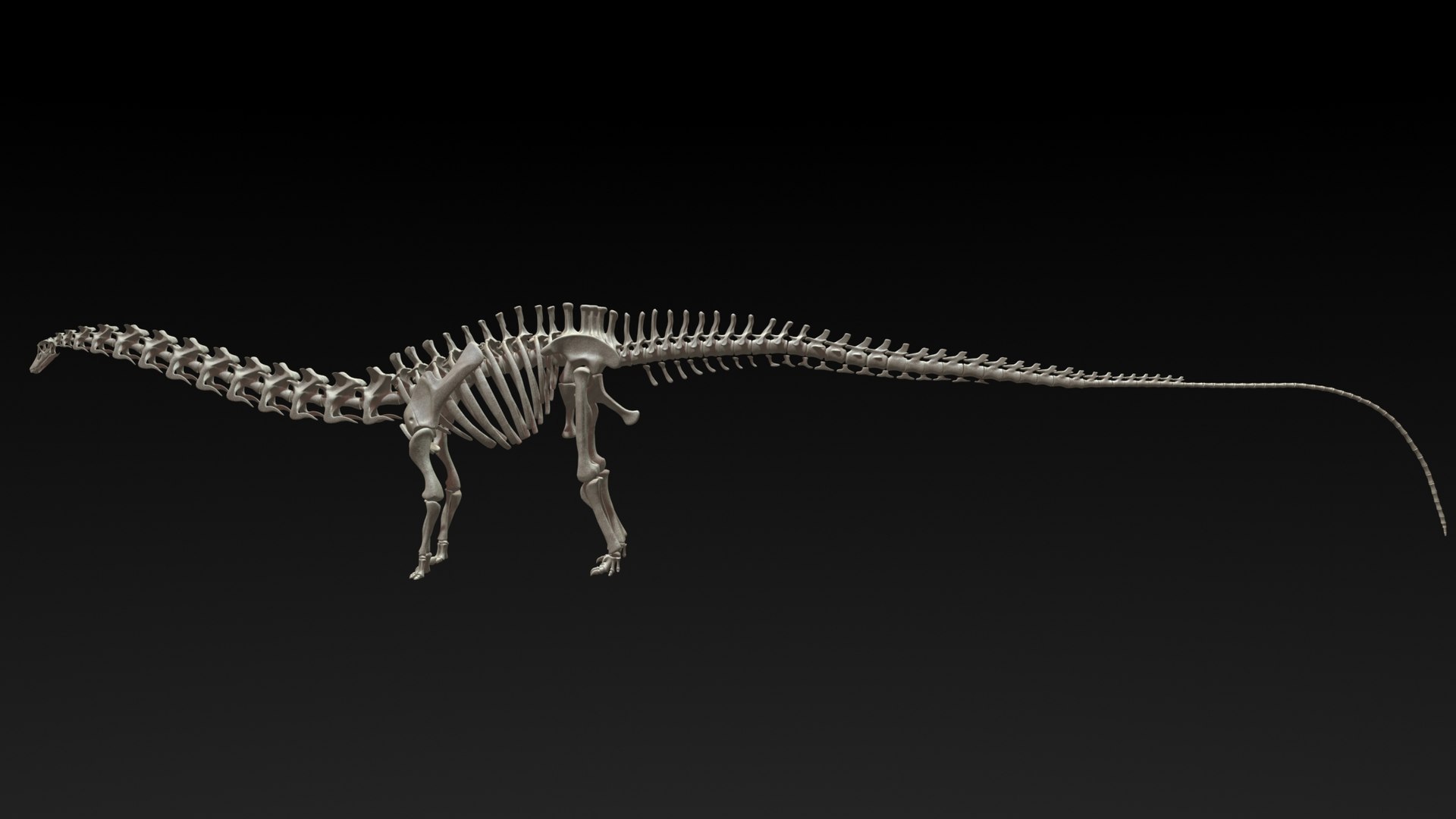 3D diplodocus skeleton - TurboSquid 1228784