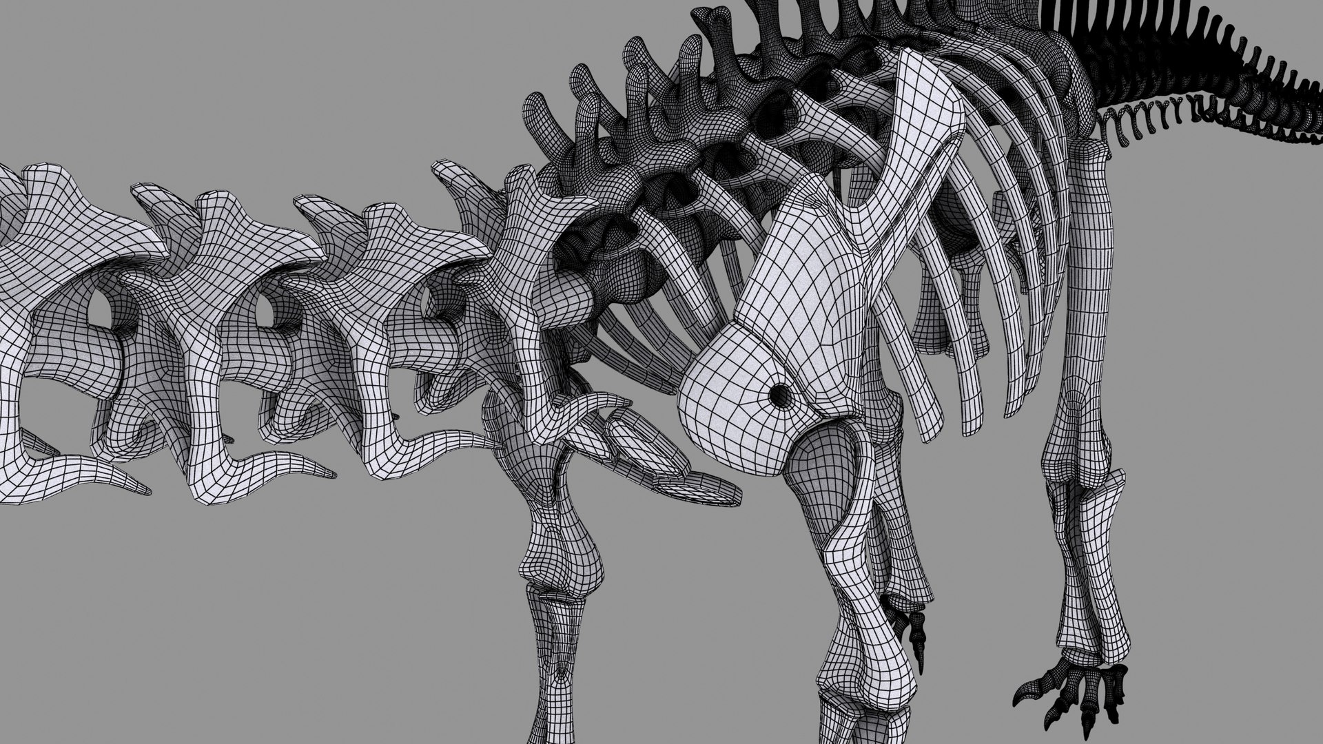 3D diplodocus skeleton - TurboSquid 1228784