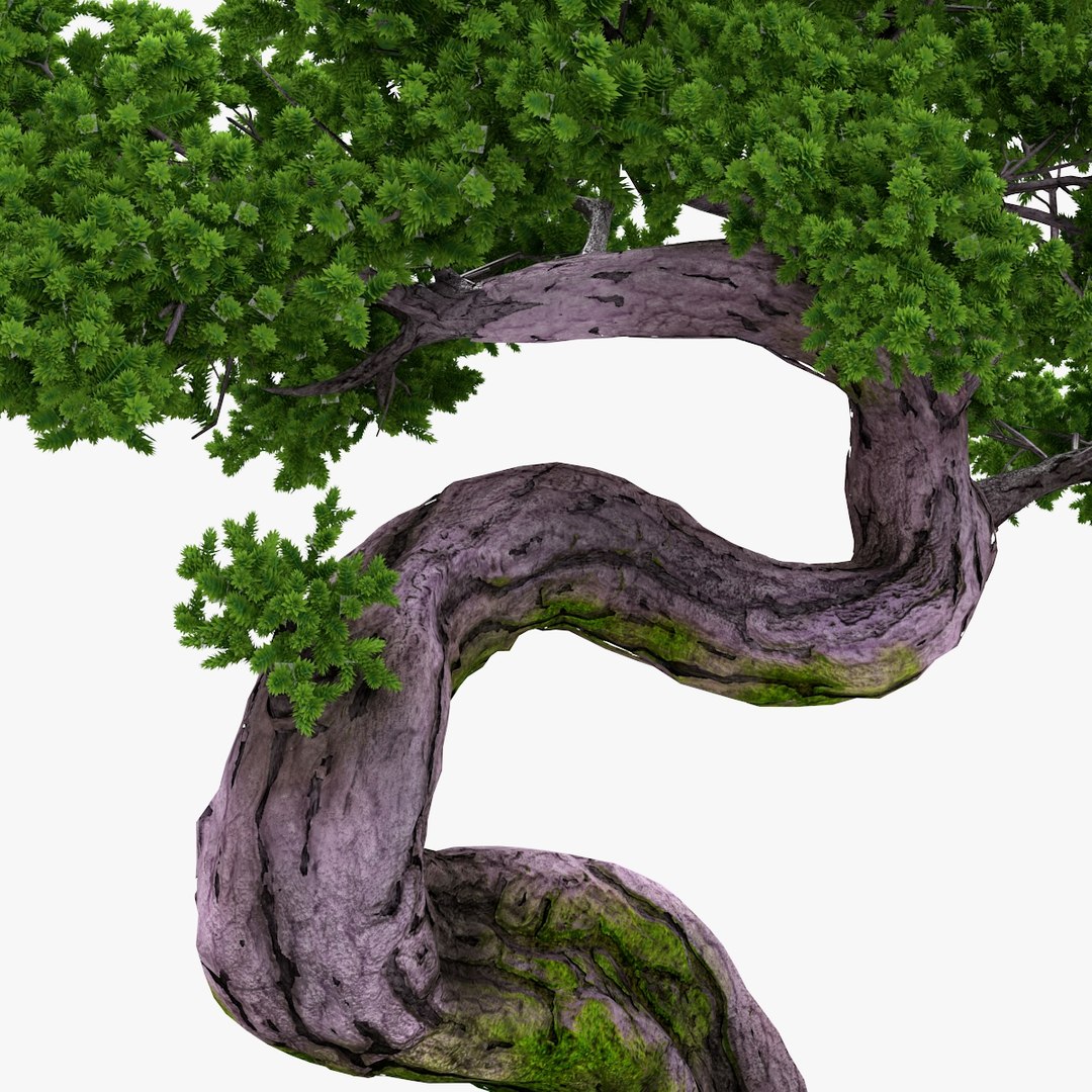 bonsai realistic 3d fbx https://p.turbosquid.com/ts-thumb/ju/mvjiMZ/JUHIXU8f/nmodel_02_56_06/jpg/1401107041/1920x1080/fit_q87/2b6a9dcc9f8ebc37bf25fe26fe615396fd60326f/nmodel_02_56_06.jpg