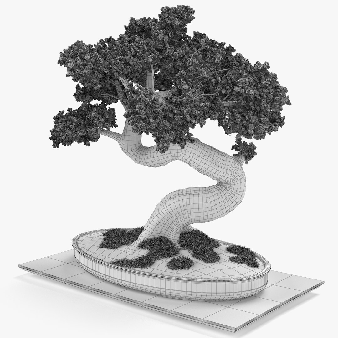 bonsai realistic 3d fbx https://p.turbosquid.com/ts-thumb/ju/mvjiMZ/hcxYl0b8/nmodel_02_56_07/jpg/1401107041/1920x1080/fit_q87/43d0180b2067f93eaff952cf998e39e283d5b6be/nmodel_02_56_07.jpg
