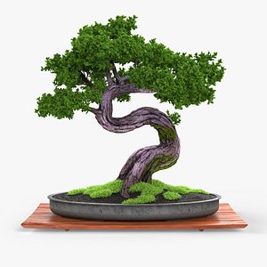 bonsai realistic 3d fbx