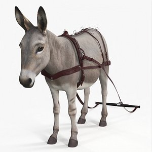 Working Donkey In Pulling Gear 3D